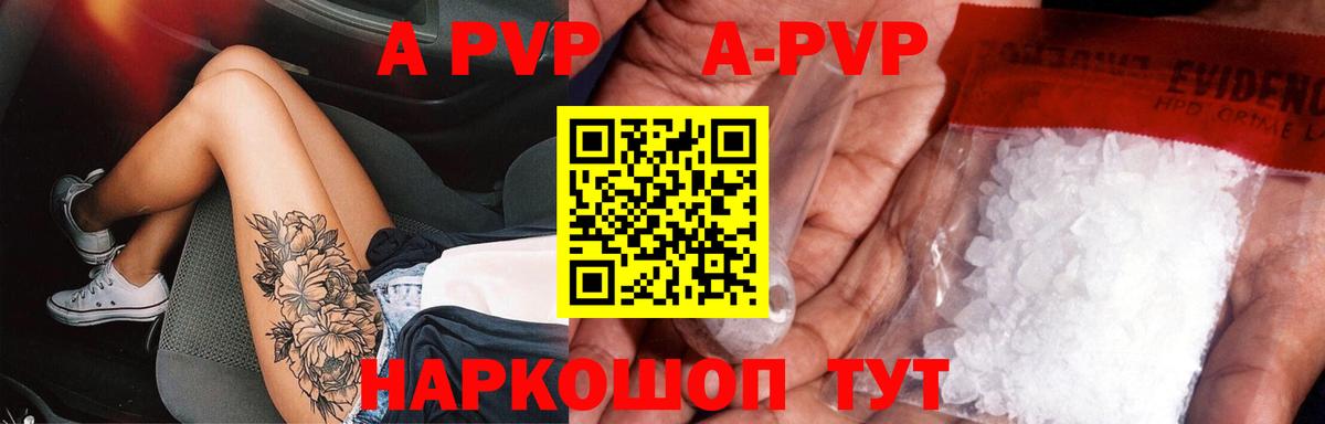 A PVP СК КРИС Сунжа