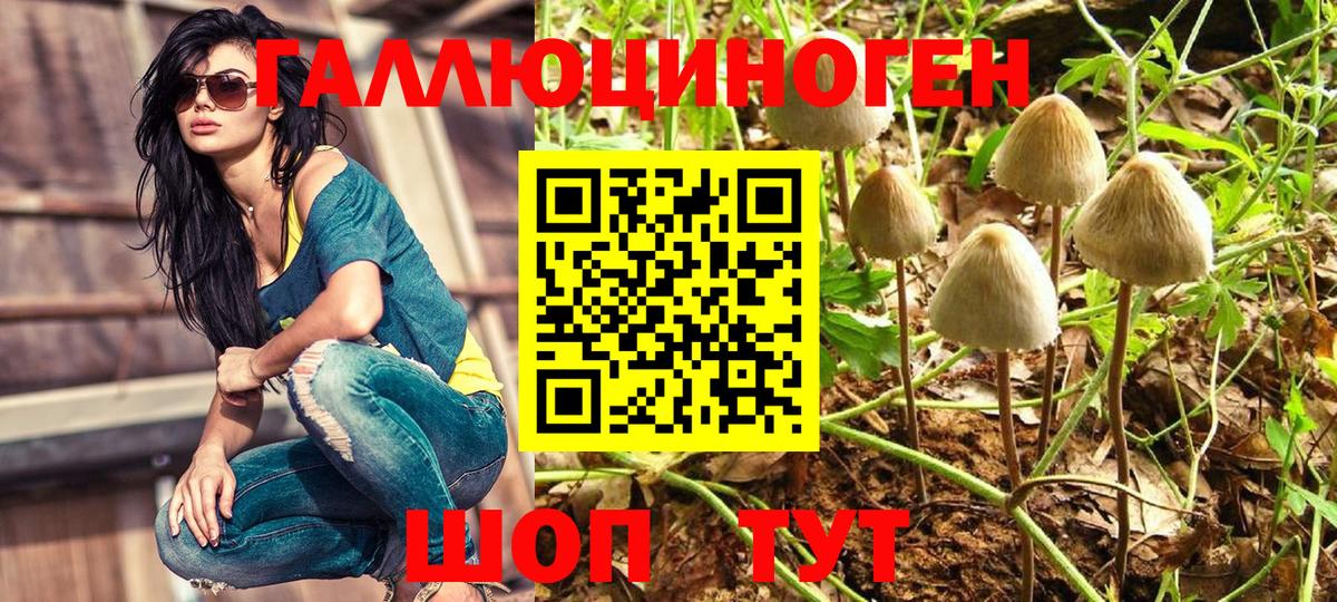 Галлюциногенные грибы Psilocybine cubensis  Псилоцибиновые грибы мухоморы  Вход с VPN  Сунжа 