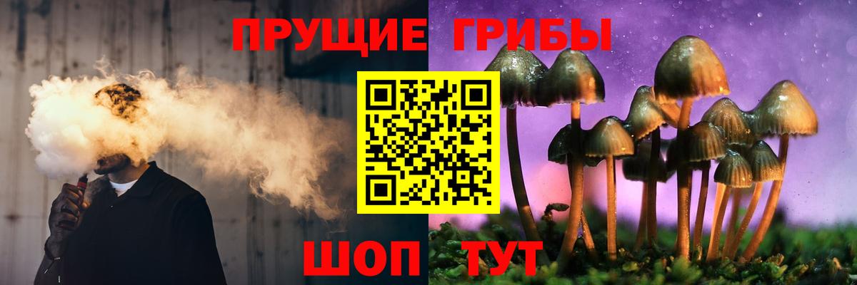 Галлюциногенные грибы Cubensis Сунжа